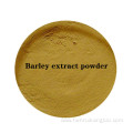 Buy online Barley extract ingredients powder